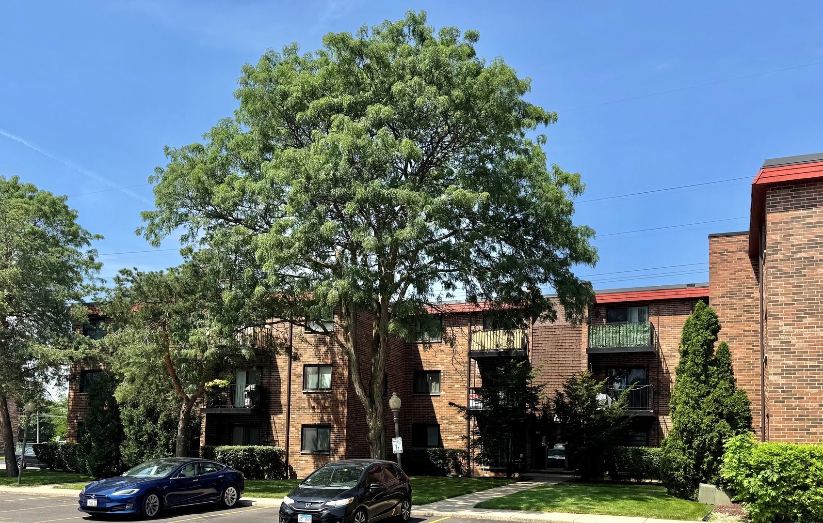 1787 West Algonquin Road, Unit 2A Mount Prospect, IL 60056 - Photo 36 of 39