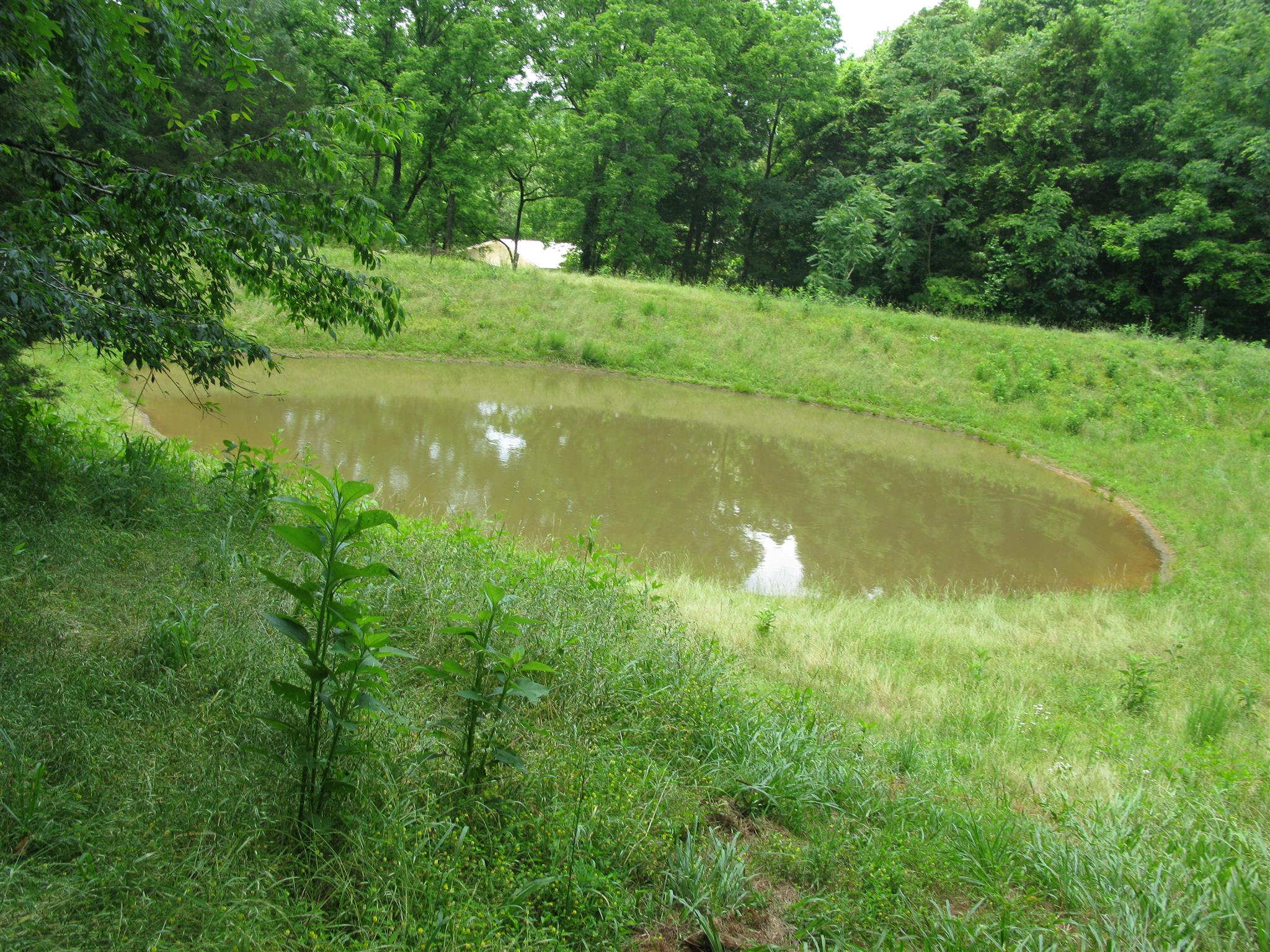 171 Poorhouse Road Taft, TN 38488 - Photo 22 of 27 a view of a lake with a yard