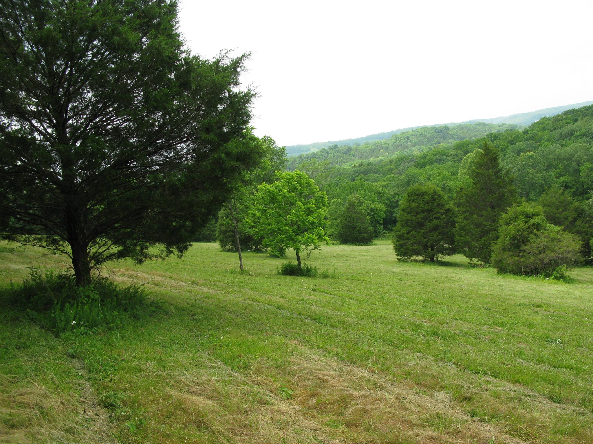 171 Poorhouse Road Taft, TN 38488 - Photo 23 of 27 a view of a grassy field with trees