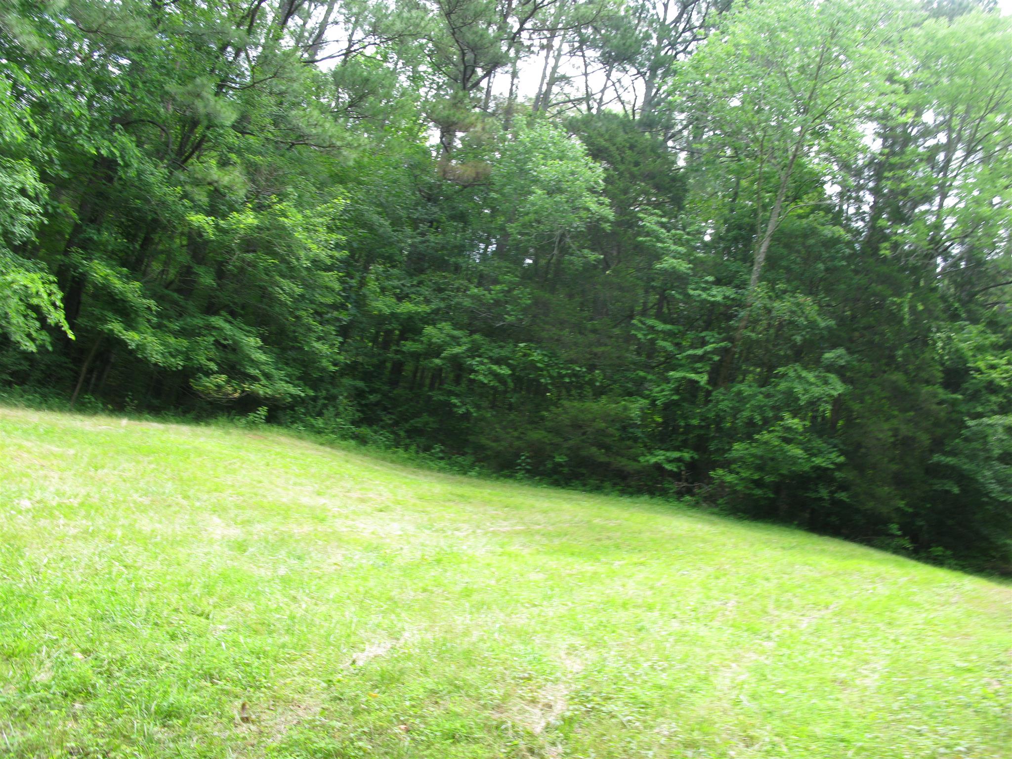 171 Poorhouse Road Taft, TN 38488 - Photo 24 of 27 a view of a yard