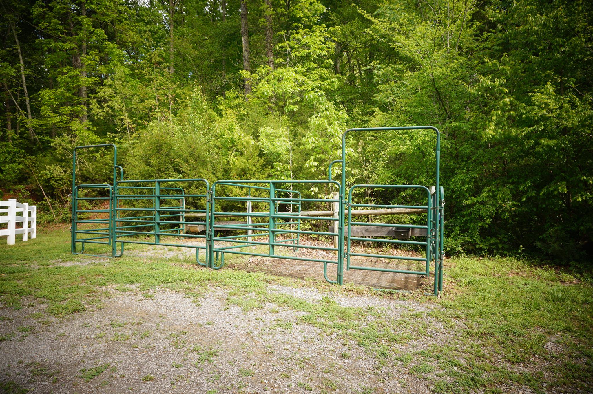 171 Poorhouse Road Taft, TN 38488 - Photo 3 of 27 a view of a yard with wooden fence