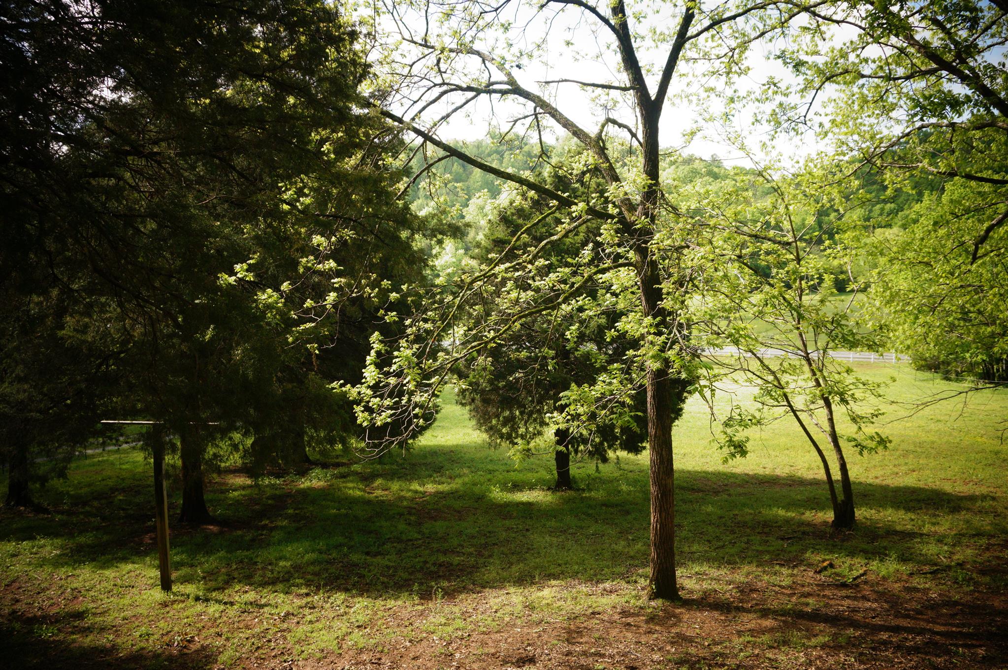 171 Poorhouse Road Taft, TN 38488 - Photo 4 of 27 a backyard of a house with lots of green space