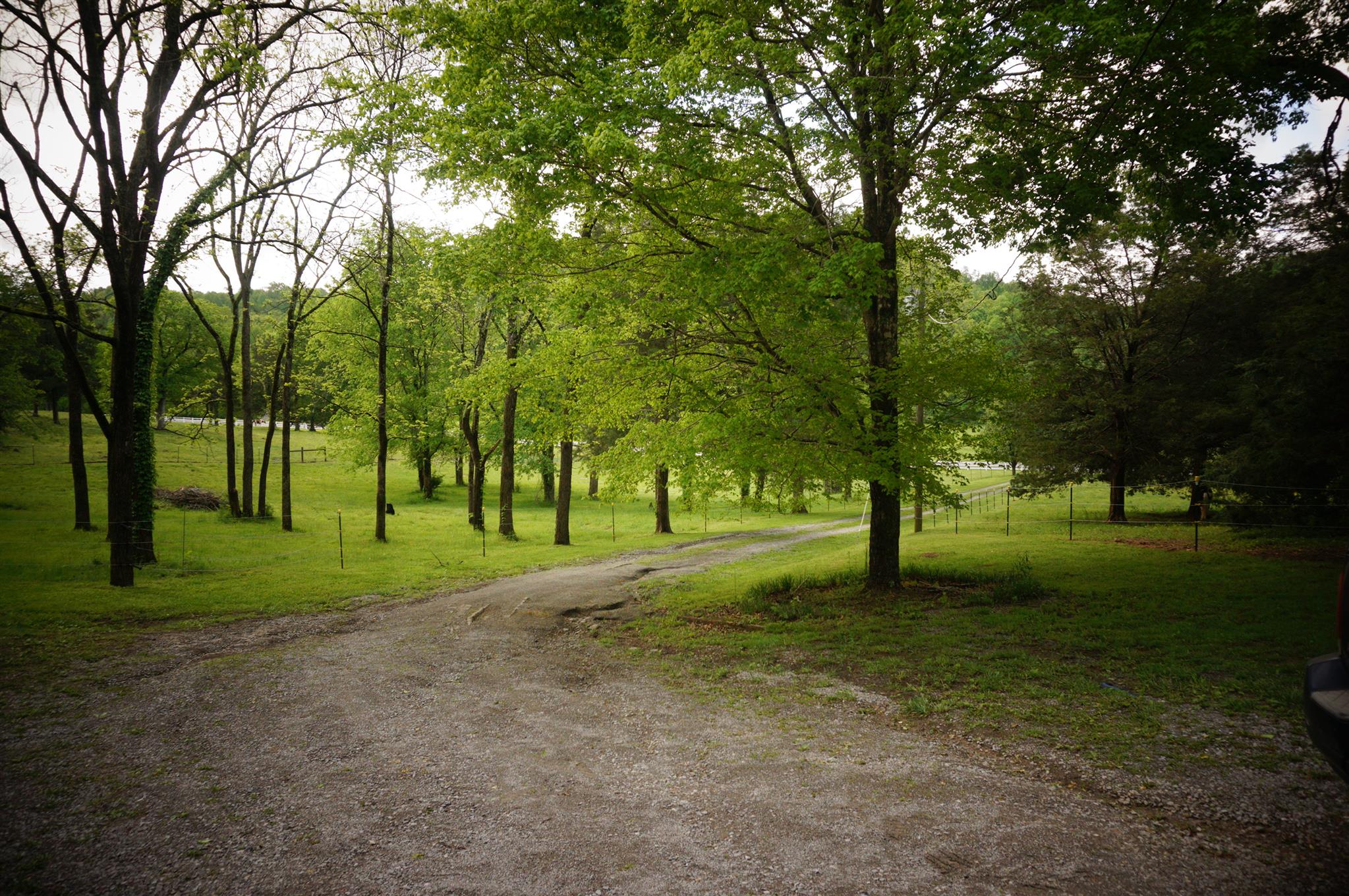 171 Poorhouse Road Taft, TN 38488 - Photo 5 of 27 a view of road with trees