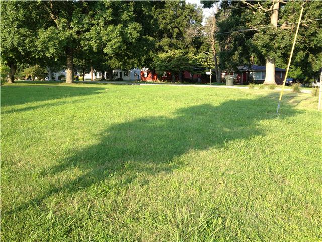 220 Dimaggio Drive Springfield, TN 37172 - Photo 2 of 10 Beautiful corner lot