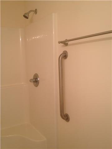 220 Dimaggio Drive Springfield, TN 37172 - Photo 8 of 10 Another view of master bath shower