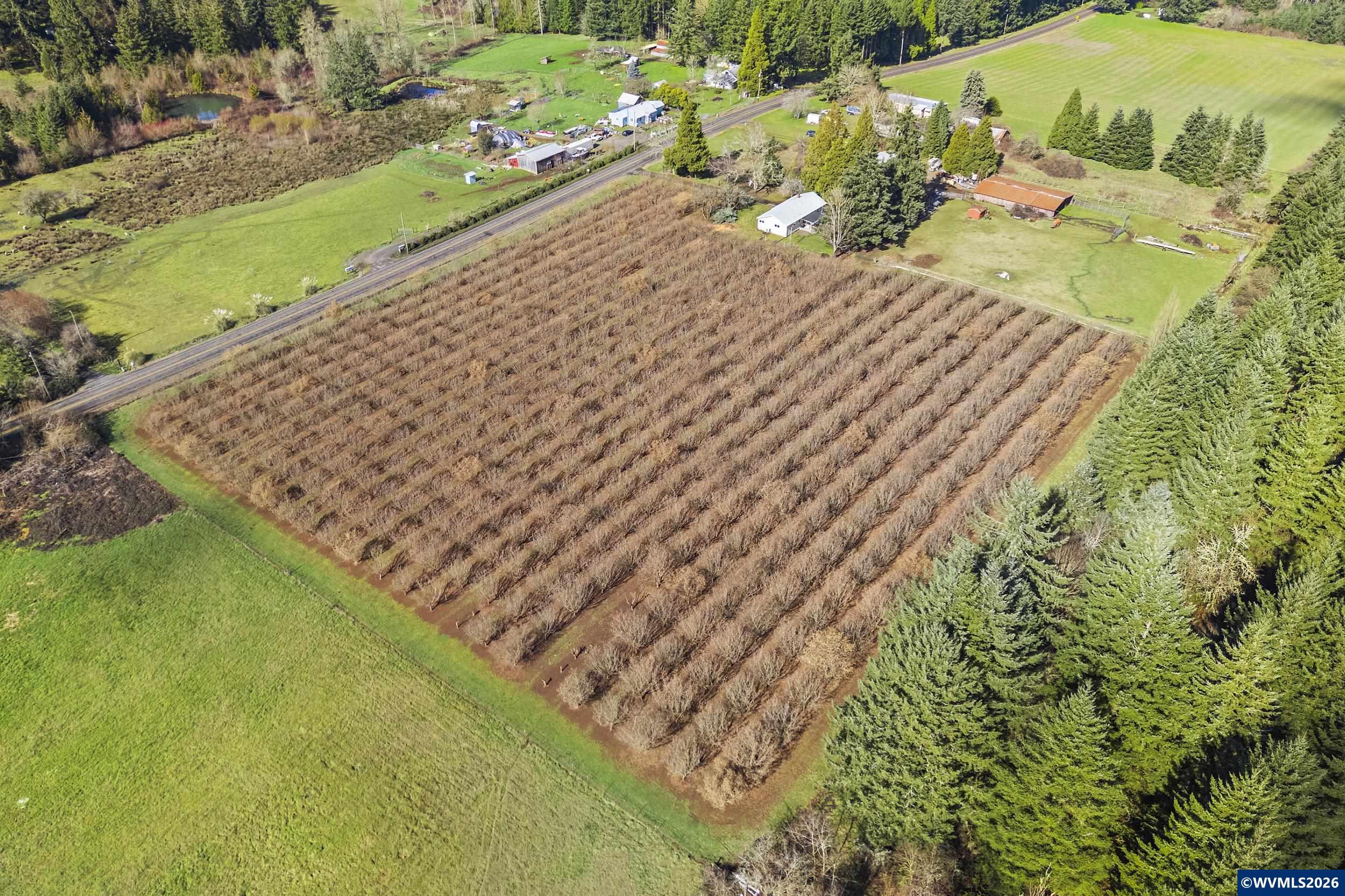 34931 Meridian Road Lebanon, OR 97355 - Photo 44 of 48 Gallery Image 44