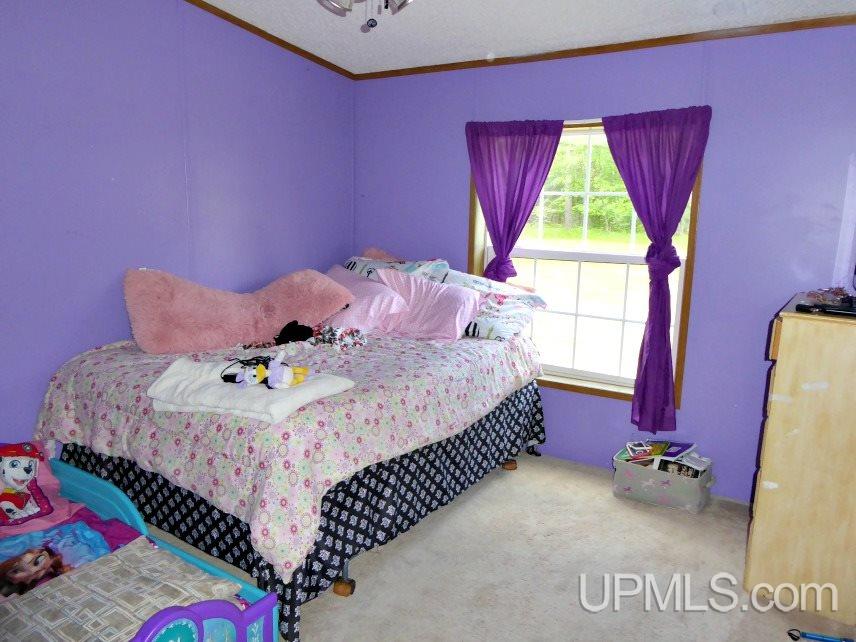 W5224 WPA Road Vulcan, MI 49892 - Photo 12 of 21