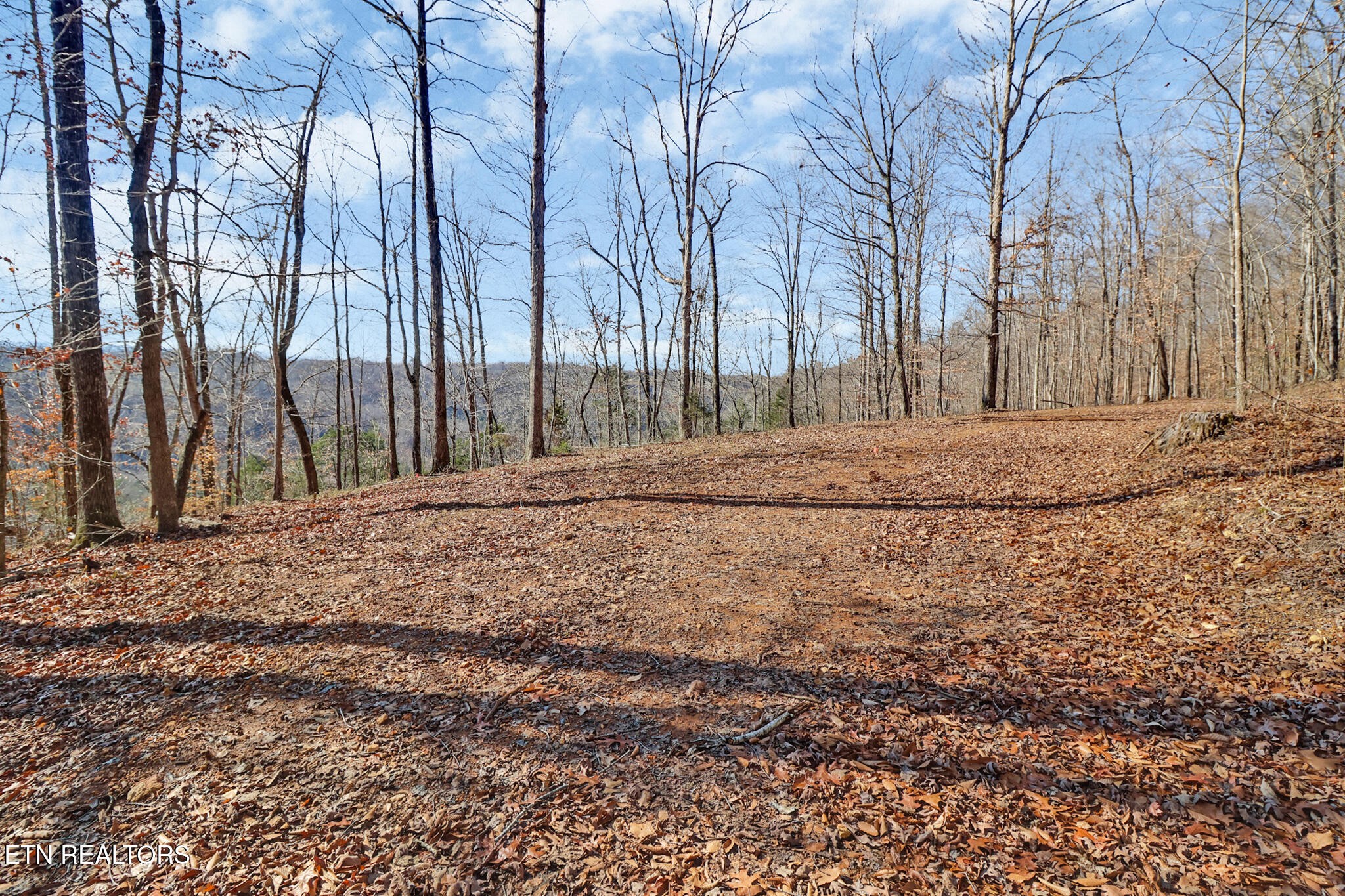 5031 Robbinstown Road Byrdstown, TN 38549 - Photo 33 of 60 Gallery Image 33