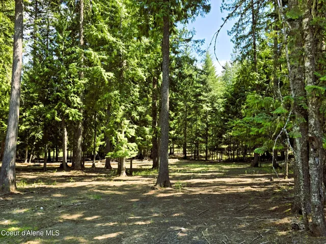 $575,000 | 68 Panorama Drive, Lenore, ID 83541