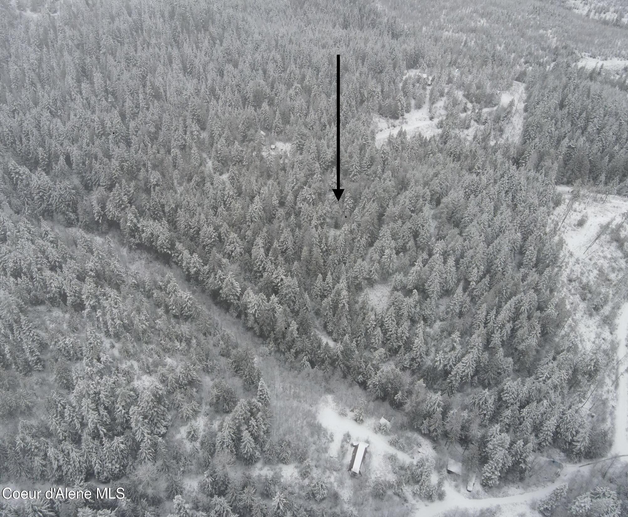 343 East Ridge Road St. Maries, ID 83861 - Photo 2 of 3 dji_fly_20251203_143602_285_176636338413