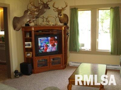 8987 Moore Street Coello, IL 62825 - Photo 4 of 8 Gallery Image 4