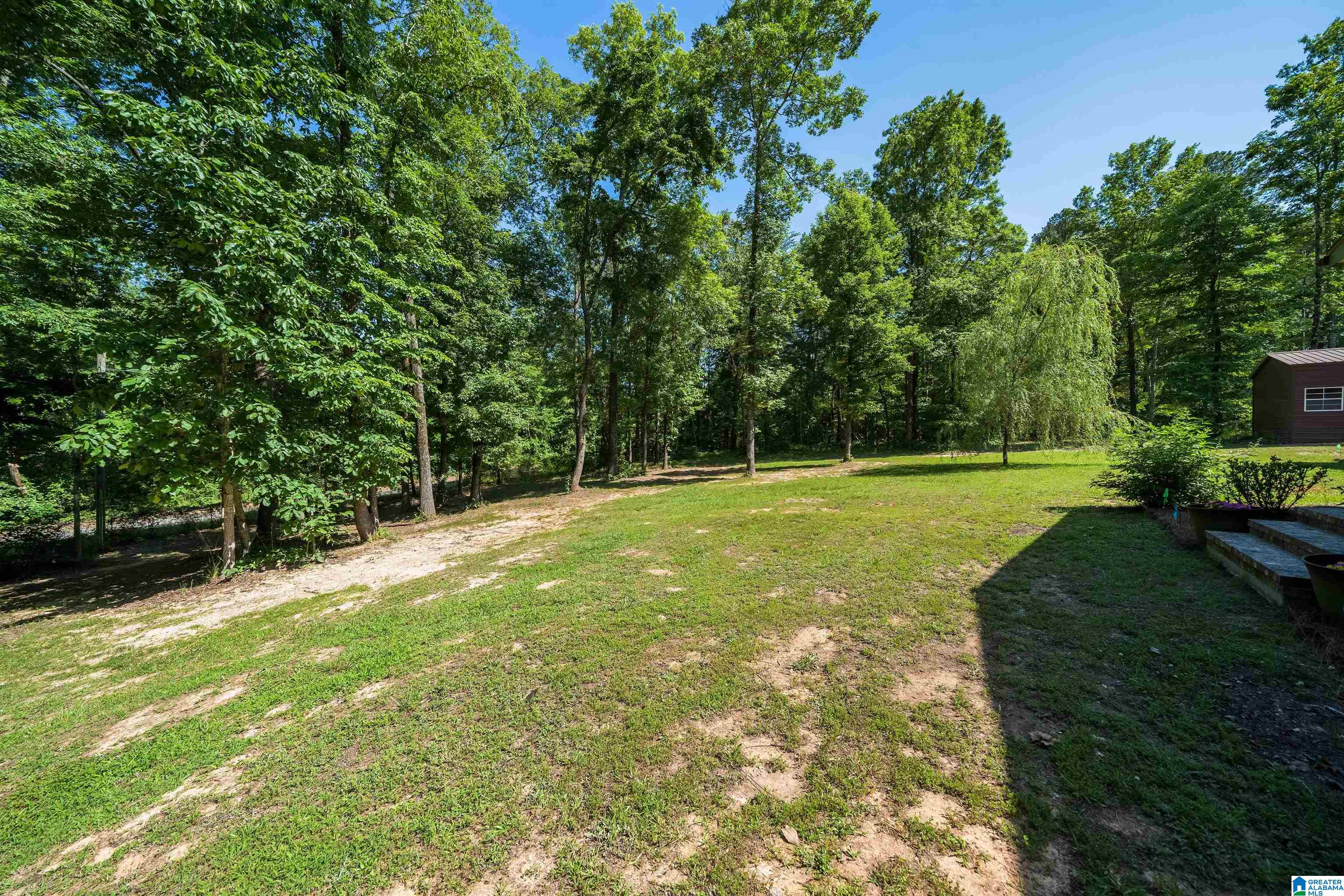 0 Lynch Lake Road Odenville, AL 35120 - Photo 28 of 30