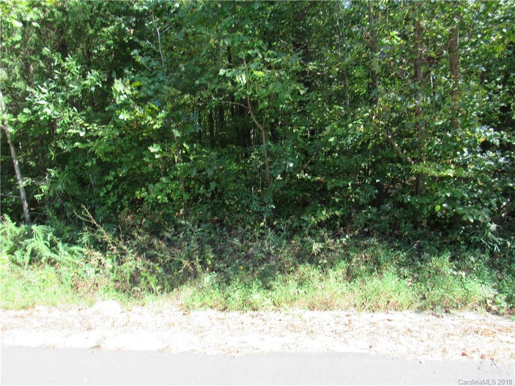 0 Davidson Road Clover, SC 29710 - Photo 3 of 6 a view of a yard with plants and wooden fence