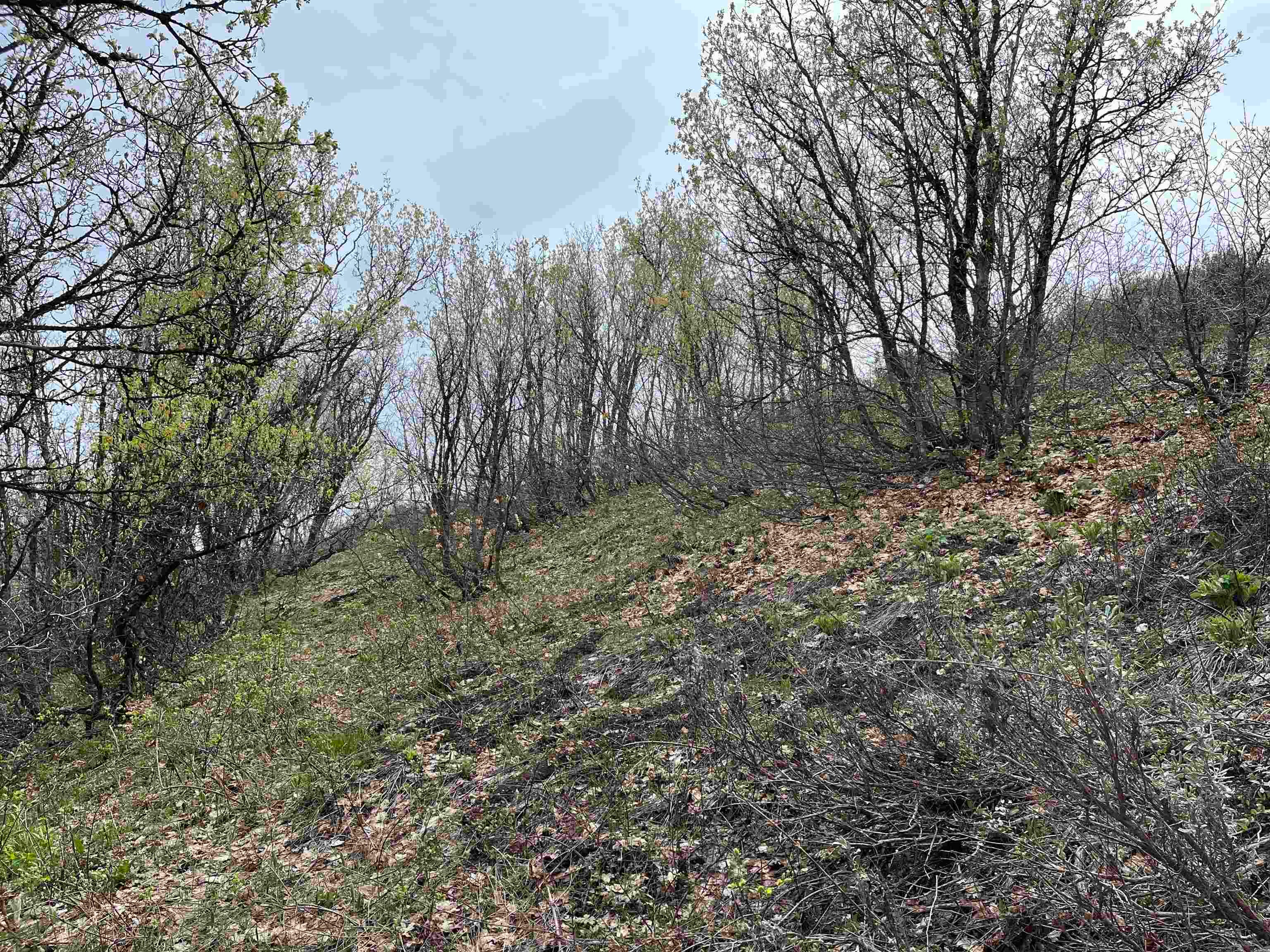 North Whispering Pines Road Pocatello, ID 83201 - Photo 25 of 42 Gallery Image 25