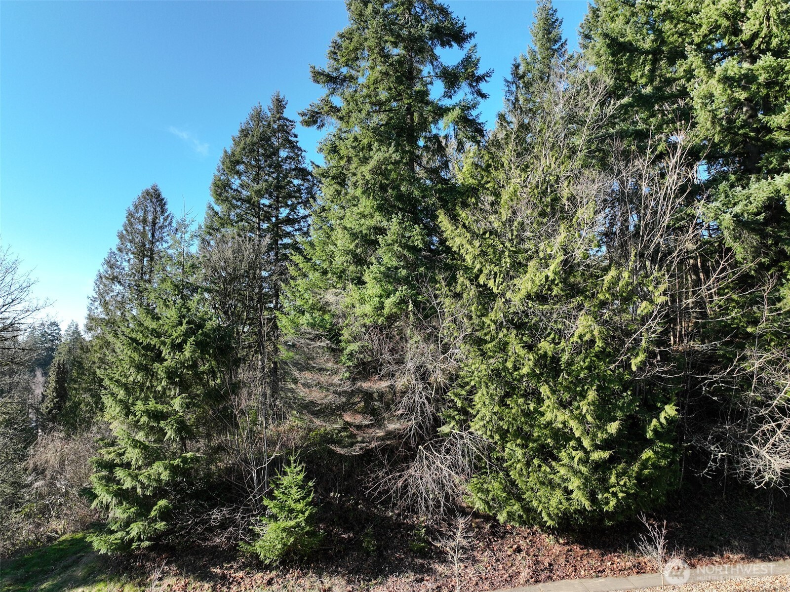 0 City View Boulevard Longview, WA 98632 - Photo 2 of 10