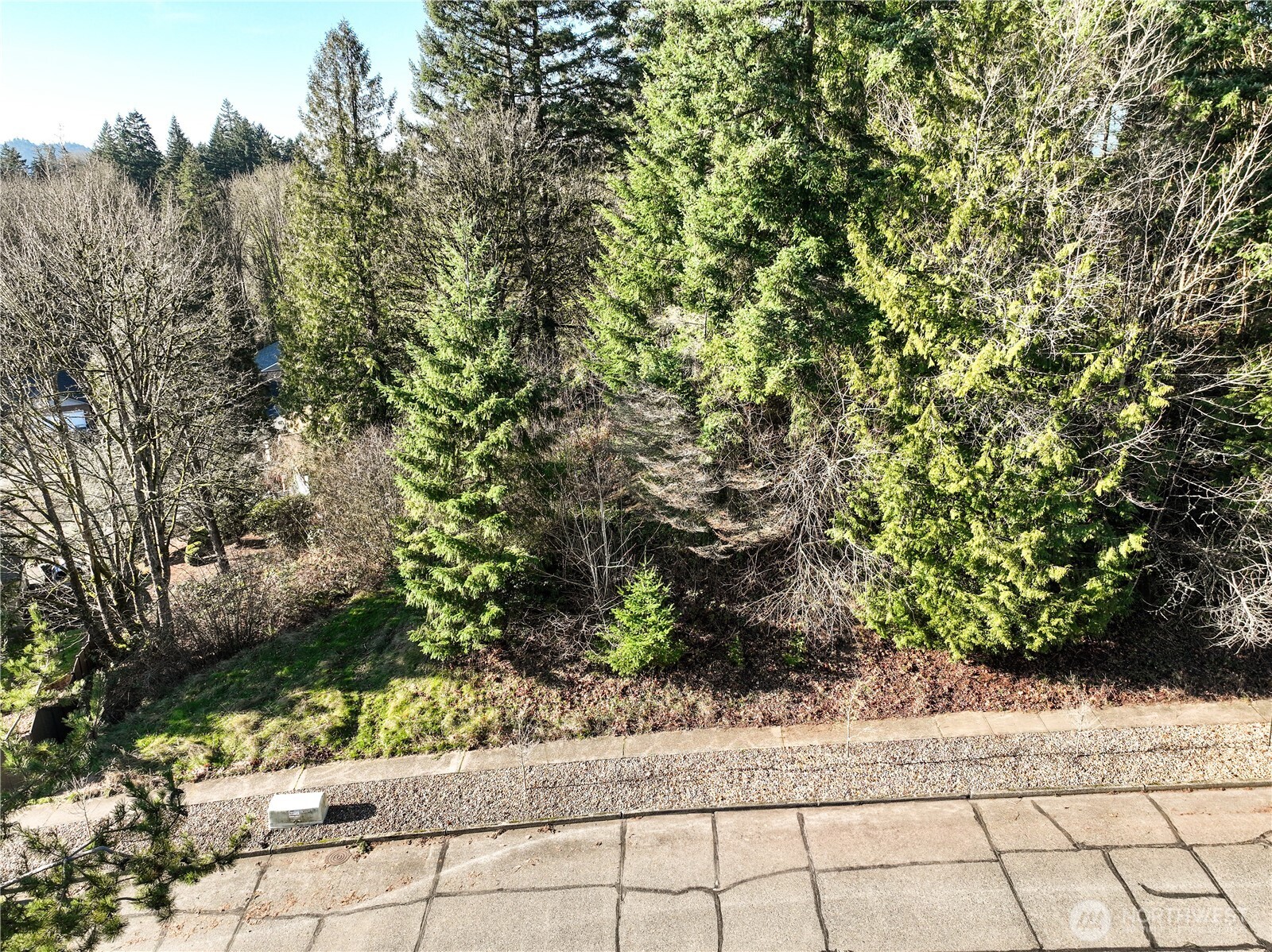 0 City View Boulevard Longview, WA 98632 - Photo 10 of 10 a view of a garden