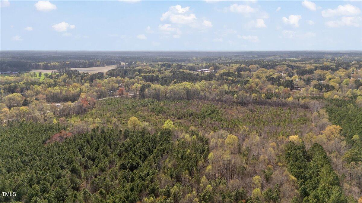 0 Justice Branch Road Littleton, NC 27850 - Photo 9 of 17 09-Finished justic branch rd-9