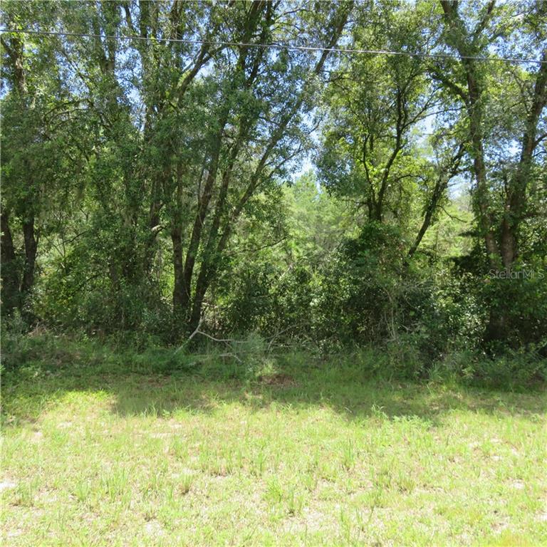 44 Southwest Sw Circle Ocala, FL 34472 - Photo 1 of 1 Center of Subject Lot