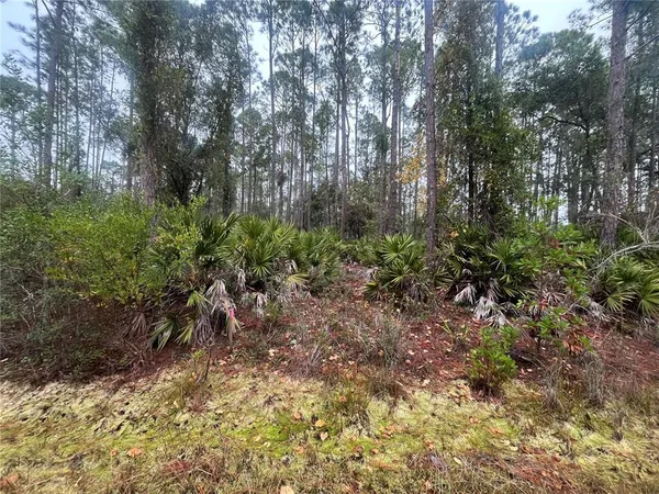 $9,999 | 222 Marie Avenue, Georgetown, FL 32139