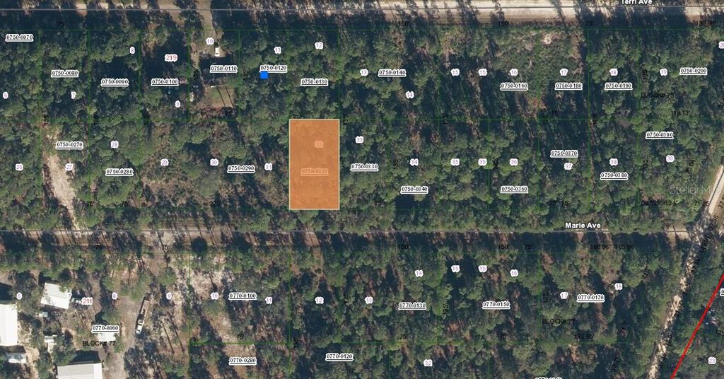 222 Marie Avenue Georgetown, FL 32139 - Photo 11 of 13