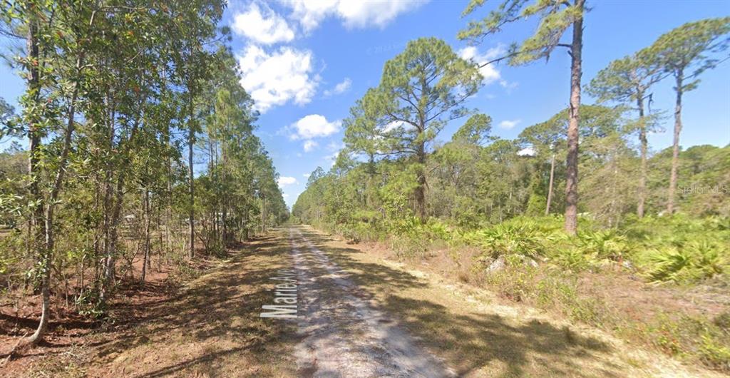 222 Marie Avenue Georgetown, FL 32139 - Photo 12 of 13