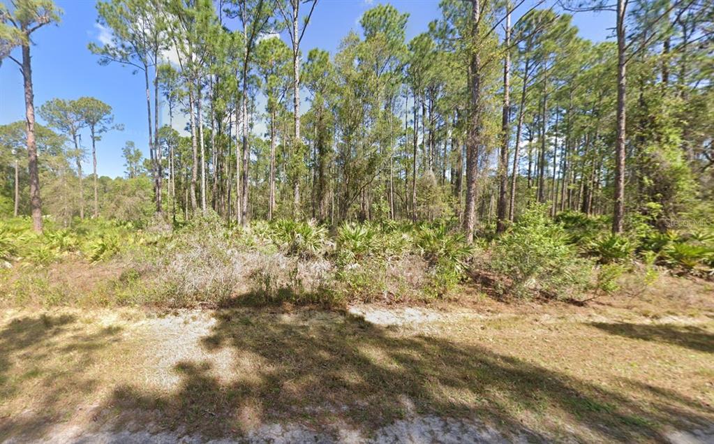 222 Marie Avenue Georgetown, FL 32139 - Photo 13 of 13