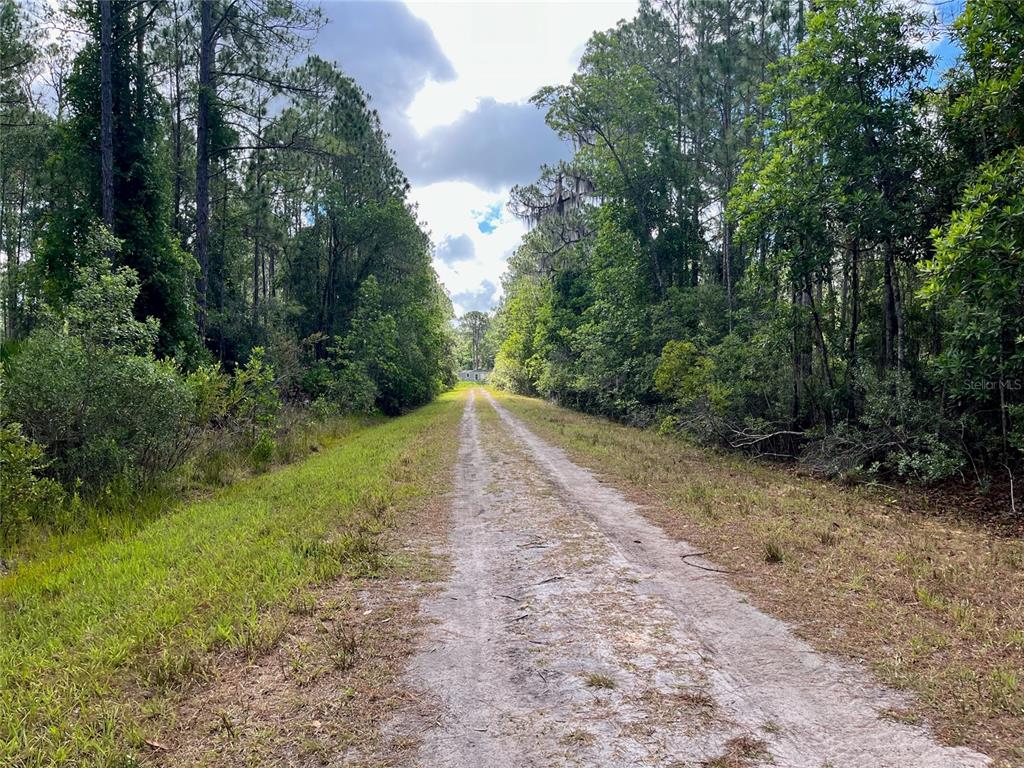 222 Marie Avenue Georgetown, FL 32139 - Photo 8 of 13
