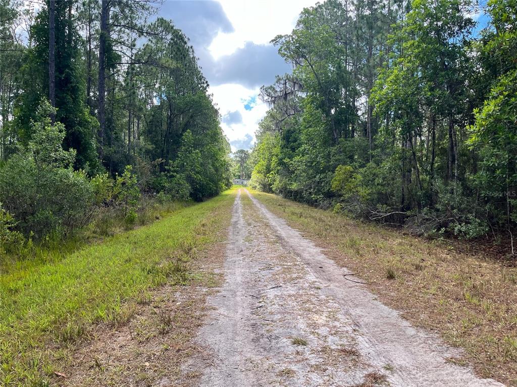 222 Marie Avenue Georgetown, FL 32139 - Photo 9 of 13