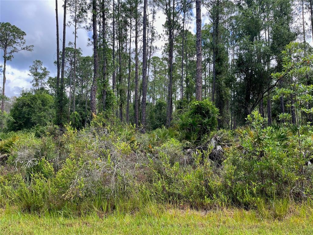 222 Marie Avenue Georgetown, FL 32139 - Photo 10 of 13