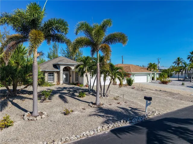 a view of a backyard with plants