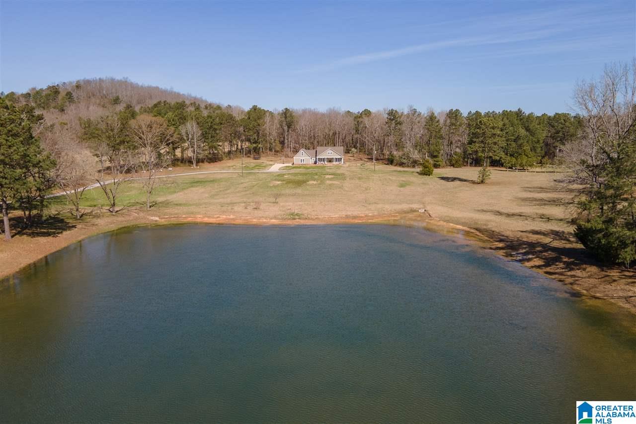 659 Blue Springs Road Wilsonville, AL 35186 - Photo 2 of 50