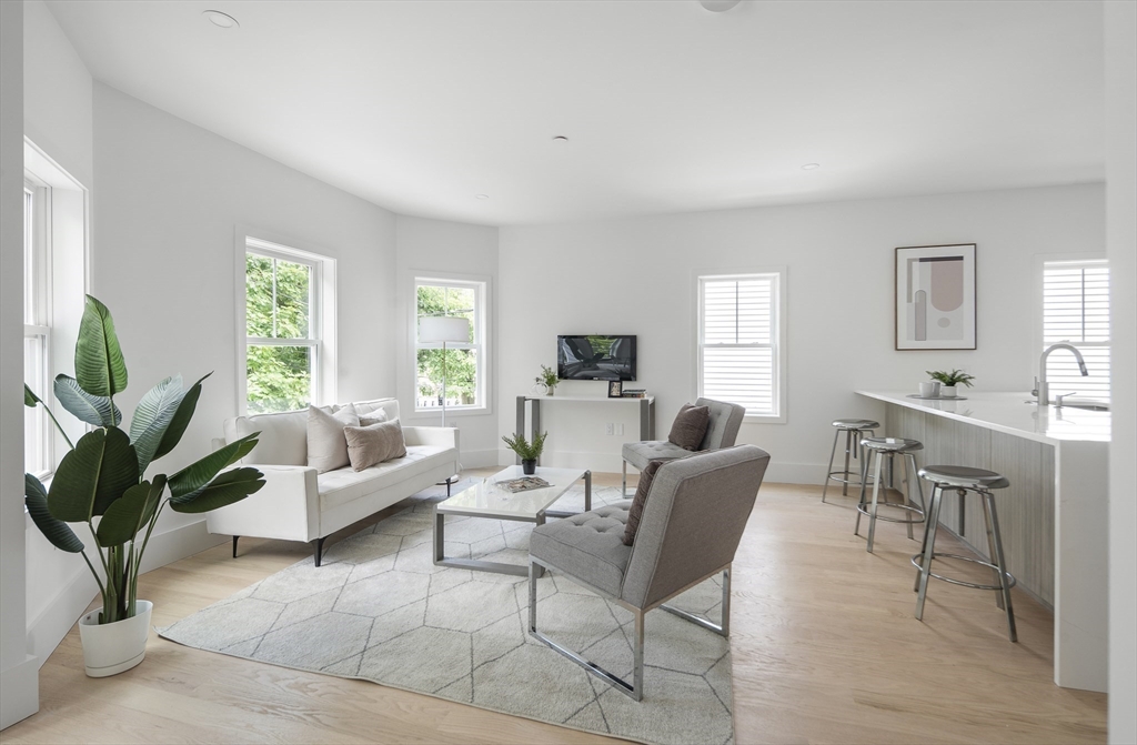 12-14 Edwin Street, Unit B Brookline, MA 02445 - Photo 4 of 18 a living room with furniture a potted plant and a window