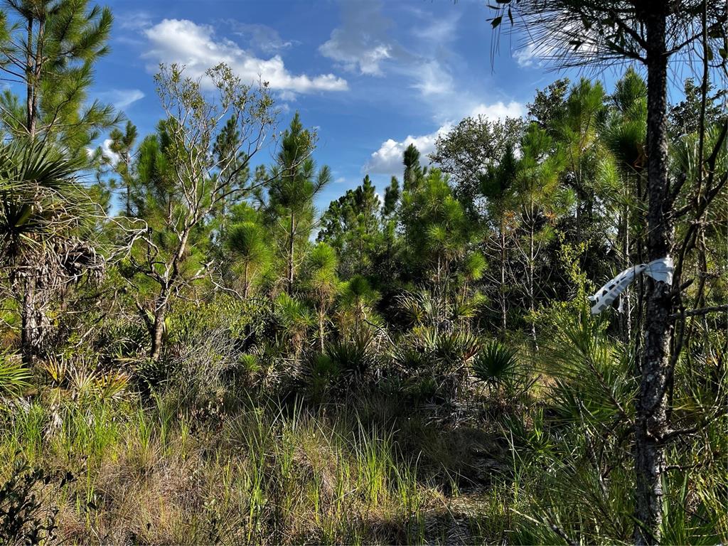 50204 Bermont Road Punta Gorda, FL 33982 - Photo 38 of 50 Gallery Image 38