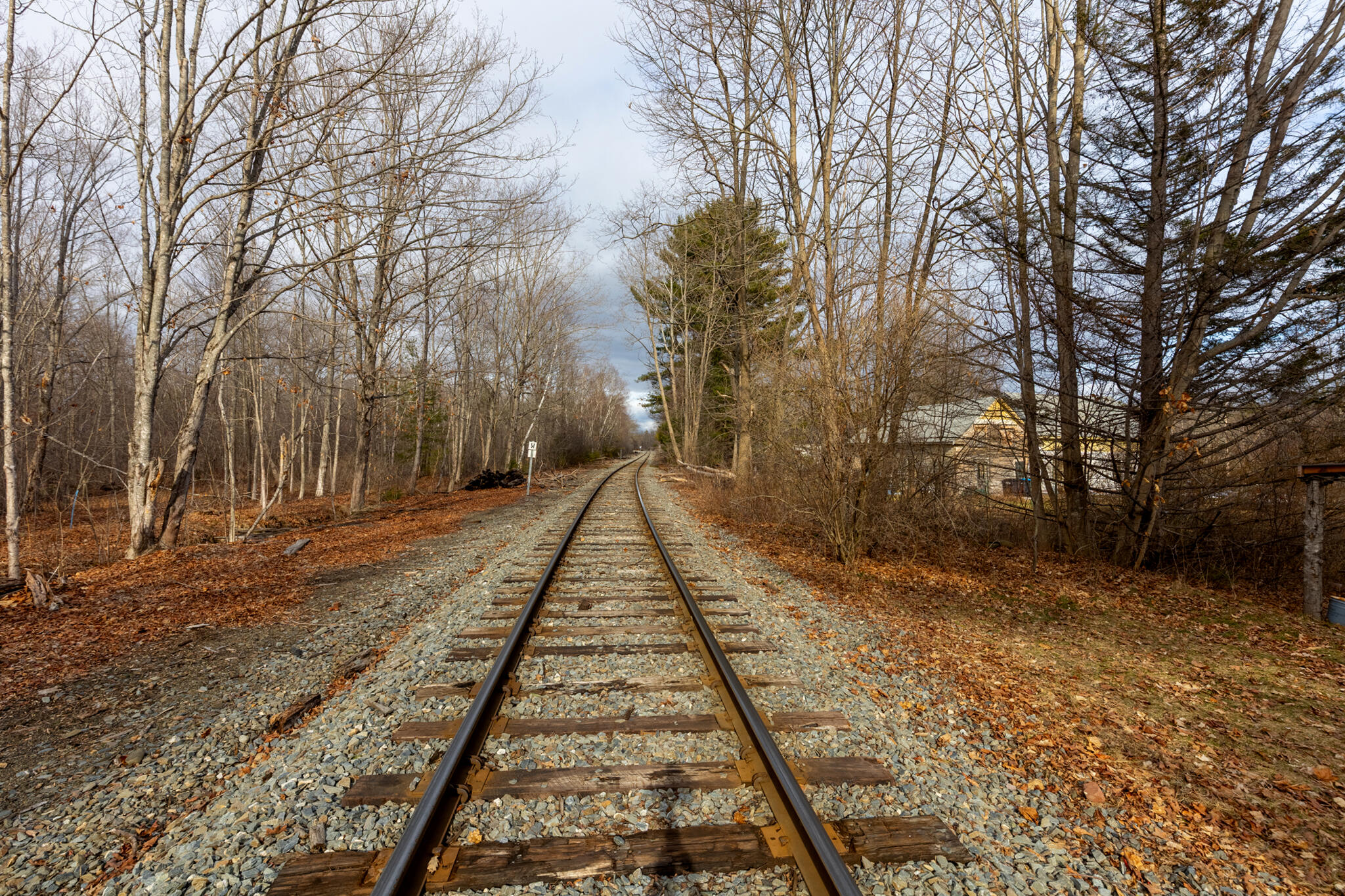 64 Penobscot Street Orono, ME 04473 - Photo 62 of 79 20260401-_MG_7955-HDR