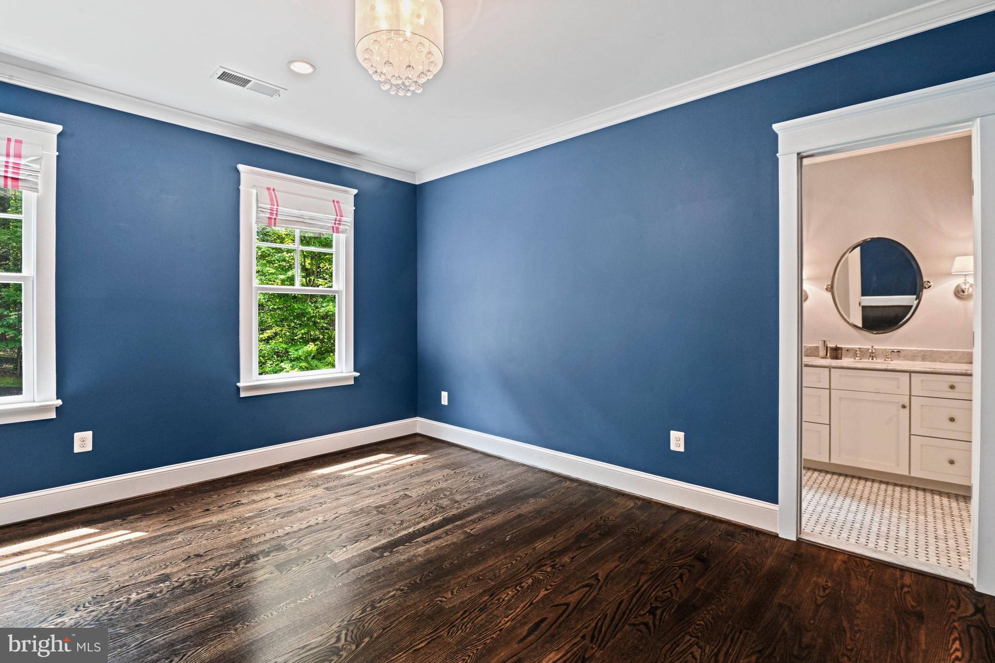 248 Springvale Road Great Falls, VA 22066 - Photo 45 of 77