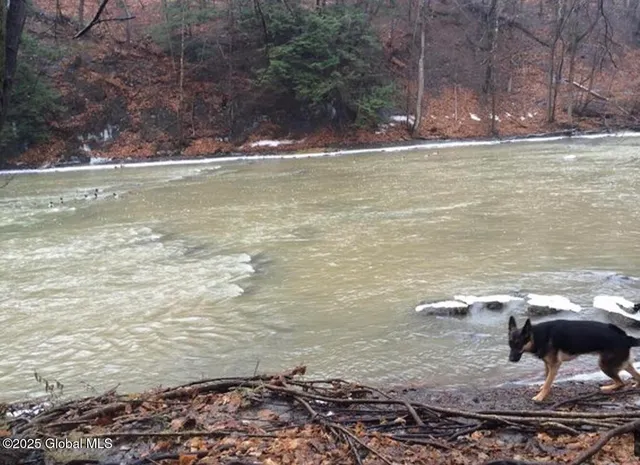 $85,000 | 689-691 Delaware Avenue, Albany, NY 12209