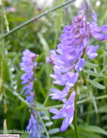 $85,000 | 689-691 Delaware Avenue, Albany, NY 12209