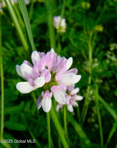 $85,000 | 689-691 Delaware Avenue, Albany, NY 12209