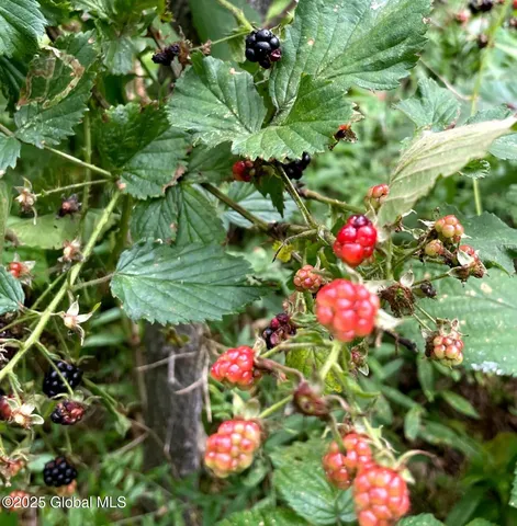 $85,000 | 689-691 Delaware Avenue, Albany, NY 12209