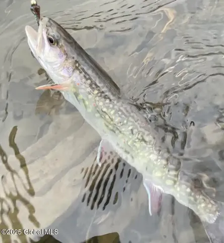 $85,000 | 689-691 Delaware Avenue, Albany, NY 12209