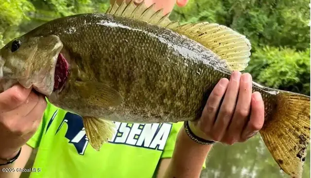 $85,000 | 689-691 Delaware Avenue, Albany, NY 12209