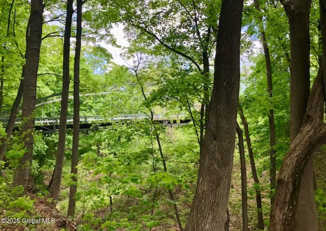 $85,000 | 689-691 Delaware Avenue, Albany, NY 12209