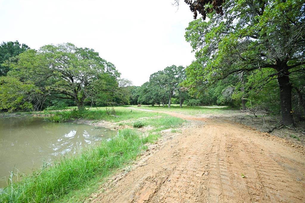 0 Cr2510 Bonham, TX 75418 - Photo 4 of 4 a view of a lake with a yard