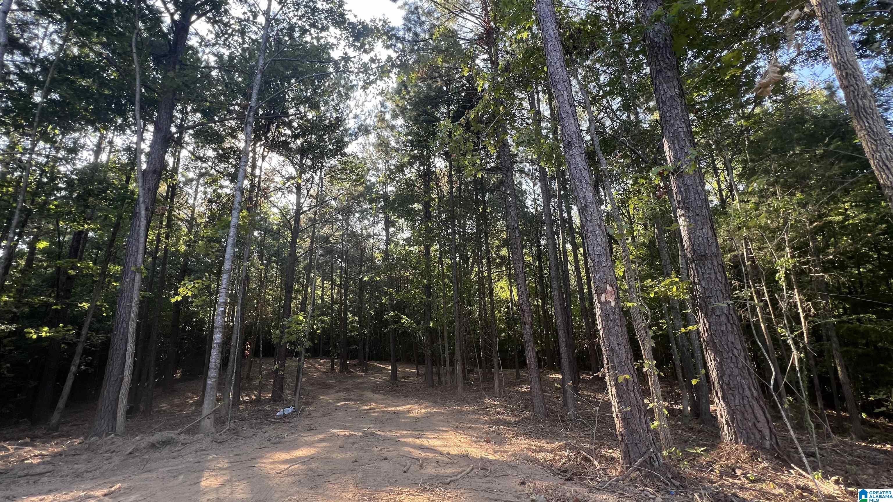 600 Wester Drive, Unit 22 Ragland, AL 35131 - Photo 13 of 96 Gallery Image 13