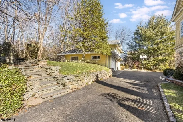 a view of yard with tree in it
