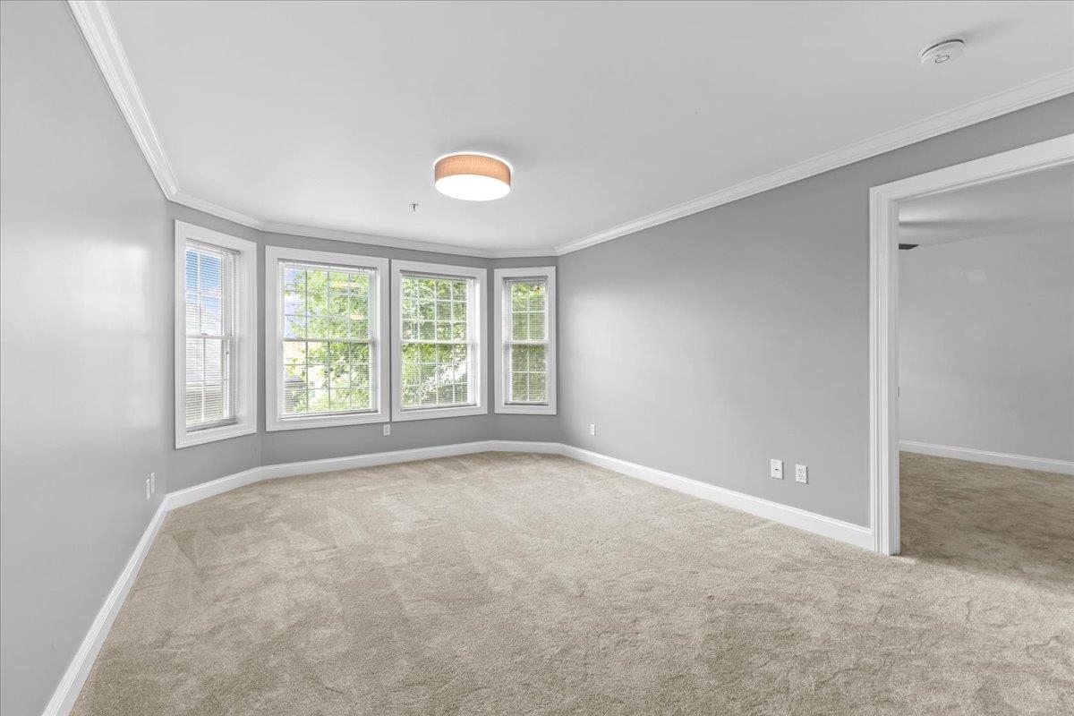 81 South Williams Street, Unit 203 Burlington, VT 05401 - Photo 26 of 44