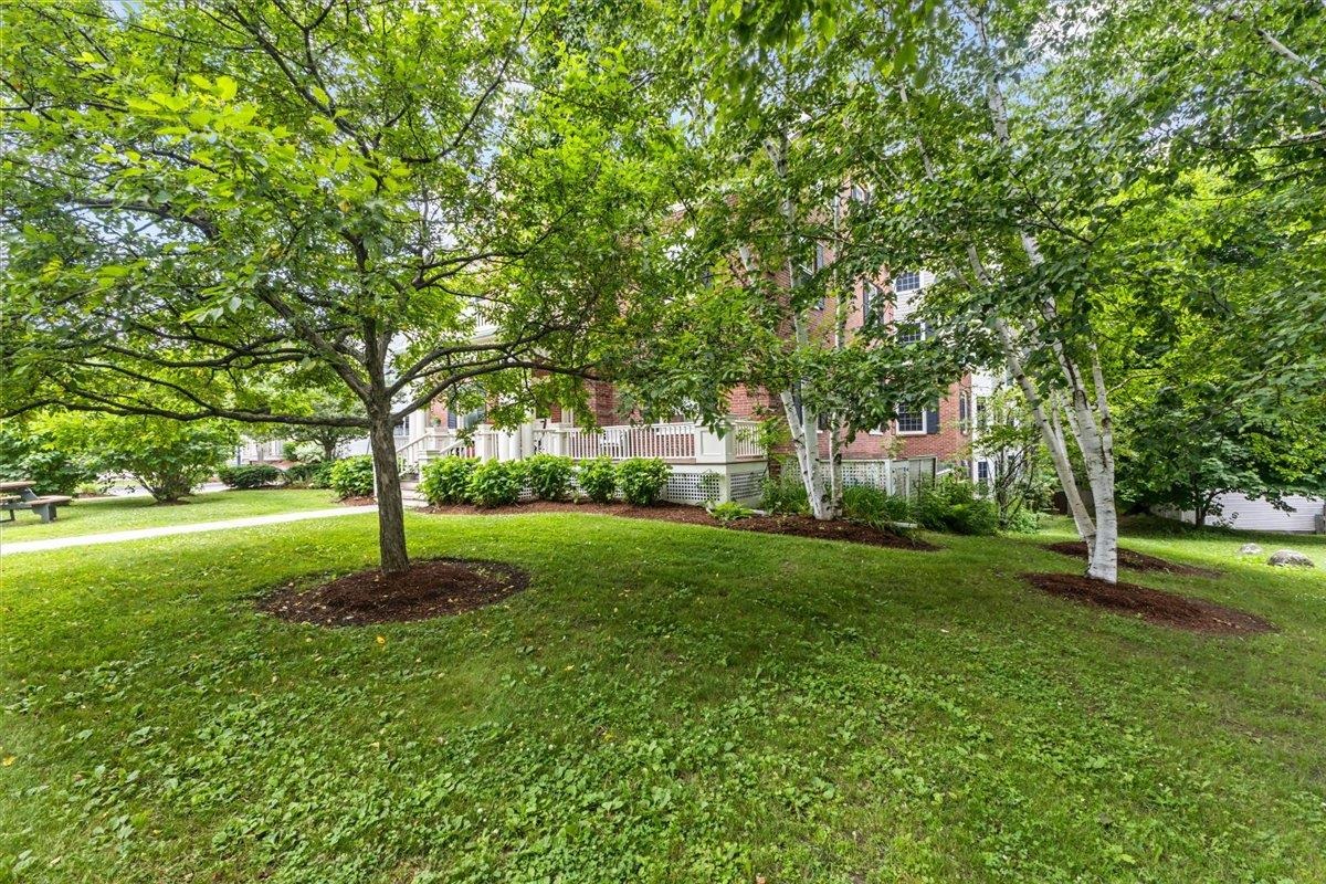 81 South Williams Street, Unit 203 Burlington, VT 05401 - Photo 5 of 44