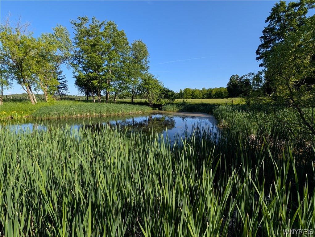 12351 Williston Road Marilla, NY 14052 - Photo 4 of 28