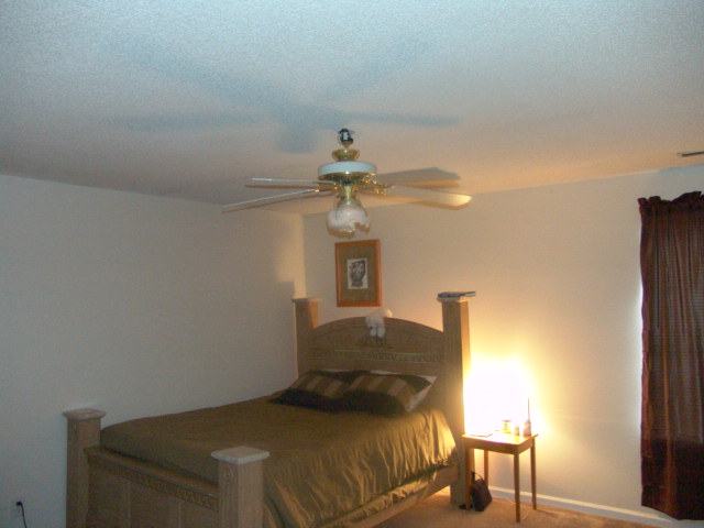5 Grape Arbor Lane Fountain Inn, SC 29644 - Photo 4 of 6