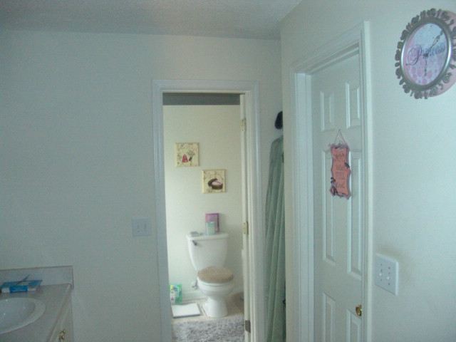 5 Grape Arbor Lane Fountain Inn, SC 29644 - Photo 5 of 6